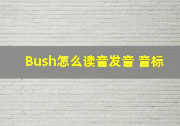 Bush怎么读音发音 音标